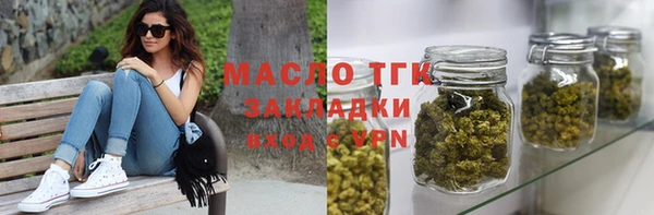 спиды Богородицк