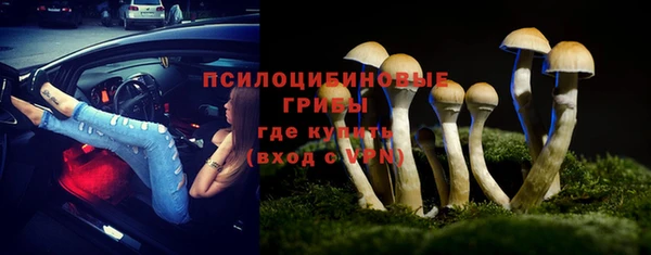 спиды Богородицк