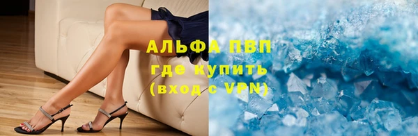 спиды Богородицк
