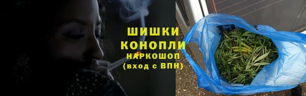 спиды Богородицк