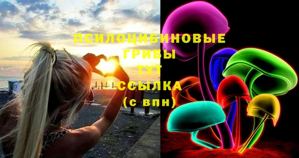 марки nbome Богданович