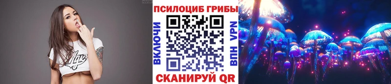 Галлюциногенные грибы прущие грибы  где найти   Волосово 