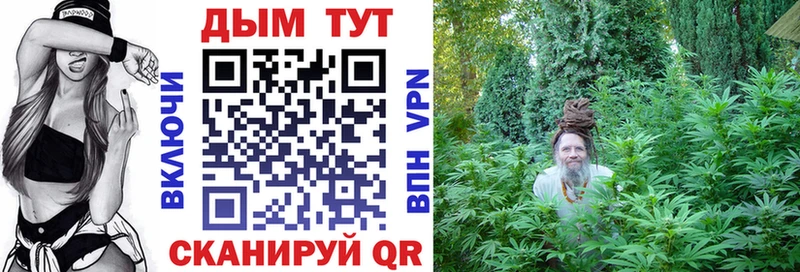 Бошки марихуана Bruce Banner  закладка  Волосово 